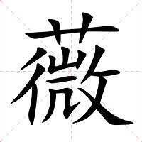 薇的意思|薇（汉语汉字）